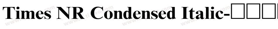Times NR Condensed Italic字体转换